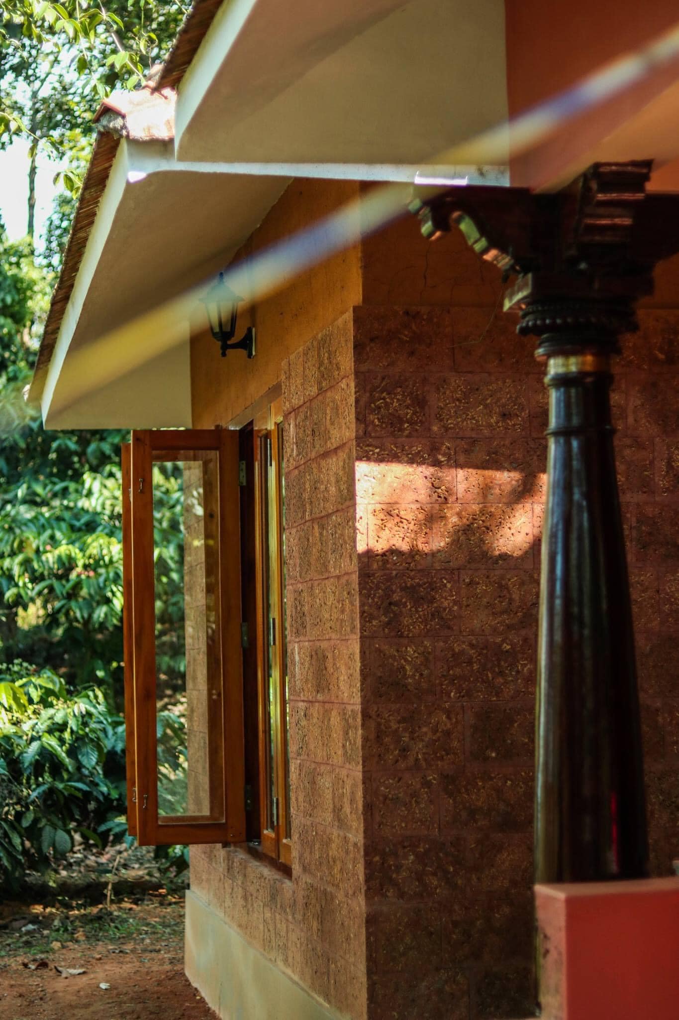 Sunlit forest path leading to Pravah Resort